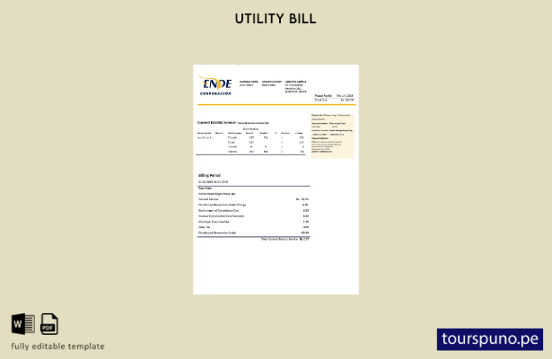 listo para imprimir plantilla de word   factura de servicios públicos de elec 11
